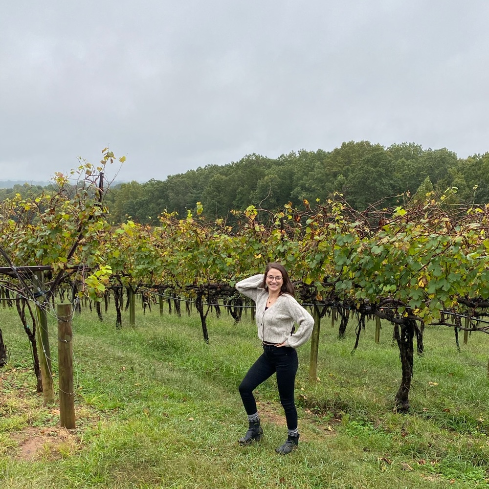 Meet your Posher, Carly